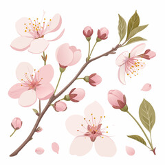 Blossoming branch with pink cherry flowers and green leaves in a delicate illustration