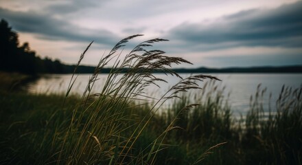 Whispering grasses sway near a serene lake under a moody sky