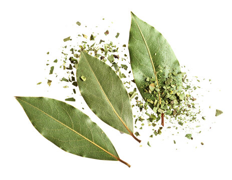 Three dried bay leaves shattering into brittle green aromatic herb fragments, isolated on a transparent background, PNG
