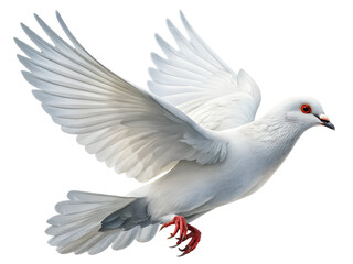 Obraz premium Ultra-Realistic White Pigeon in Mid-Flight V Pose, Detailed Feathers, Isolated on Transparent Background