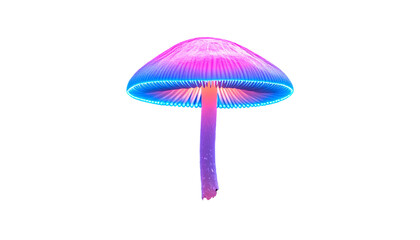 Vibrant Purple and Blue Mushroom Parasol.