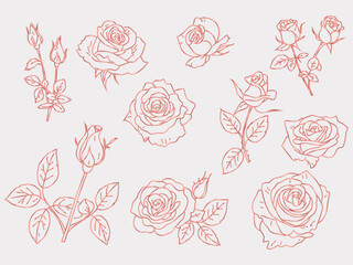 Pink roses line art vector in minimalist style. Elegant floral outline drawing of blooming roses with leaves and buds. Hand drawn for greeting cards and wedding invitations, Valentine's Day 