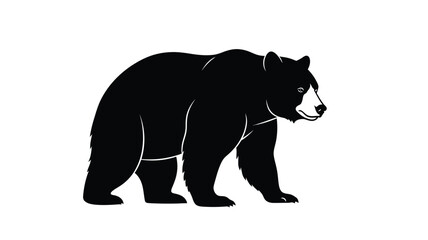 Fototapeta premium black bear walking in profile silhouette high quality