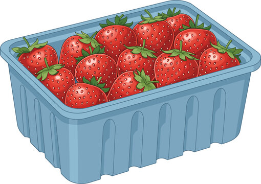 Fresh red strawberries in a blue plastic crate punnet container isolated on white background, summer fruit harvest grocery retail vector illustration.