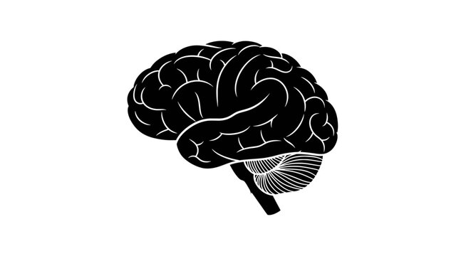 A black and white minimalist icon representing a human brain, showing the cerebrum and cerebellum