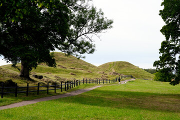 Gelgrabnigsgrabnigsgrbernigliche Begrbnishgelgel Grab Wiese Baum