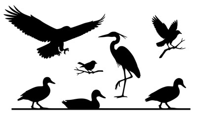 Fototapeta premium Wild bird silhouette collection in different poses flat vector illustration isolated on white