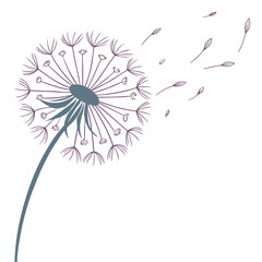 Dandelion seed in flight