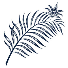 Fototapeta premium Elegant feather illustration