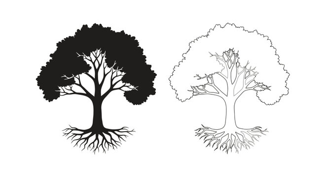Two contrasting tree illustrations one solid one outlined with roots