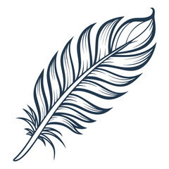 Fototapeta premium Single feather illustration