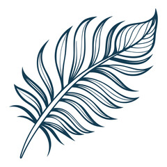 Obraz premium Single feather illustration