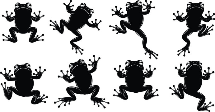 Black frog silhouette collection with amphibian icons in various poses for nature wildlife design elements and organic swamp animal illustrations