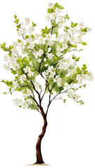 spring tree with flowers