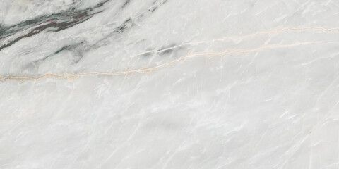 Black veined marble stone background © Vidal