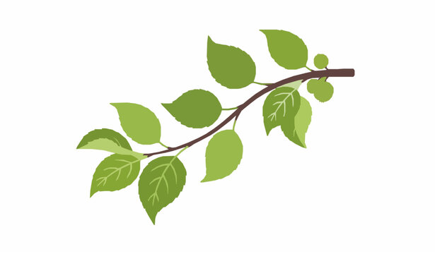Apple tree branch with fresh green leaves botanical flat vector illustration isolated on white background