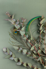 Fresh eucalyptus leaves on green background, top view. Eucalyptus branches.
