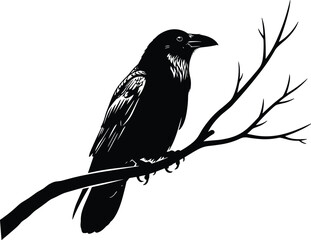 Naklejka premium Black vector silhouette and detailed line art illustration of a large crow or raven perched on a bare tree branch for nature design