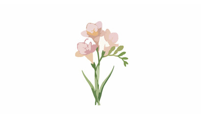 Fototapeta premium Minimal watercolor freesia bouquet elegant hand painted flowers on white background