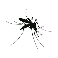 A detailed silhouette of a mosquito showcasing its delicate anatomy