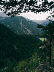 Weitl&auml;ufige Berglandschaft mit dichtem Nadelwald und alpinem Talblick