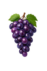 bunch of grapes
