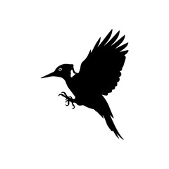 Obraz premium Black silhouette of a woodpecker bird in flight with wings spread and claws extended, isolated on a white background, showcasing its dynamic movement.