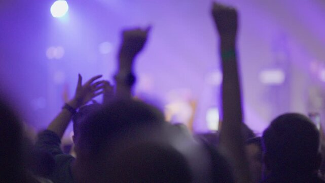 Video sequence shows a silhouetted crowd enjoying a concert. The scene evolves from dark with white lights to a vibrant, colorful light show with hands in the air, capturing the energy of a festival.