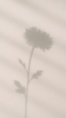 Fototapeta premium Minimalist floral shadow art mobile wallpaper
