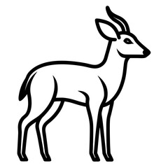 Fototapeta premium Bushbuck vector illustration with simple thin outline, African antelope art
