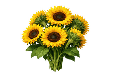 Obraz premium Hand-tied sunflower bouquet symbolizing summer, happiness, and natural beauty on transparent background