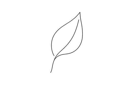 Minimal leaf. Minimalistic one-line drawing single leaf with smooth organic curve and delicate stem,