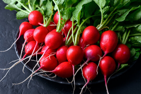 Fresh washed radishes on black plate against dark background. Minimalist food styling for organic vegetables and modern kitchen concept