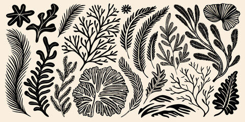 Vintage botanical illustration featuring various sketched fern and foliage designs © Polash
