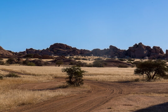 Rocky desert landscape with scattered acacia trees and rock formations in Namibia
