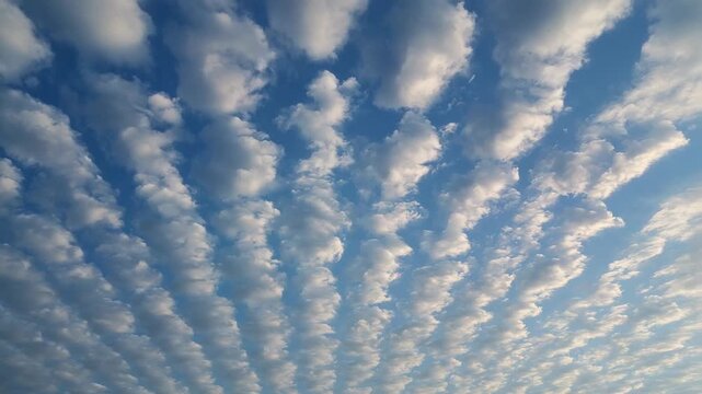 Drifting bands of small puffy clouds moving overhead, with light wind causing gentle advection