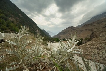 Obraz premium Beautiful natural of river in mountains background