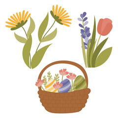 Wicker easter basket with painted eggs and spring flowers, cute vector illustration isolated on white