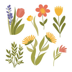 Spring flower and leaf elements set with tulips, daisies and lavender, vector illustration isolated on white