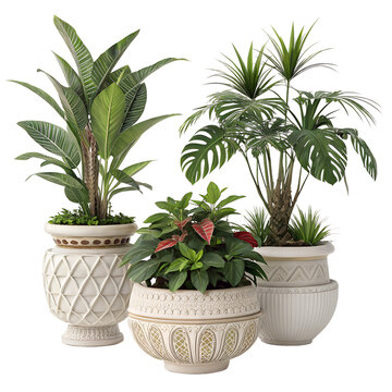 Tropical houseplant arrangement with Monstera and Philodendron in elegant vintage planters