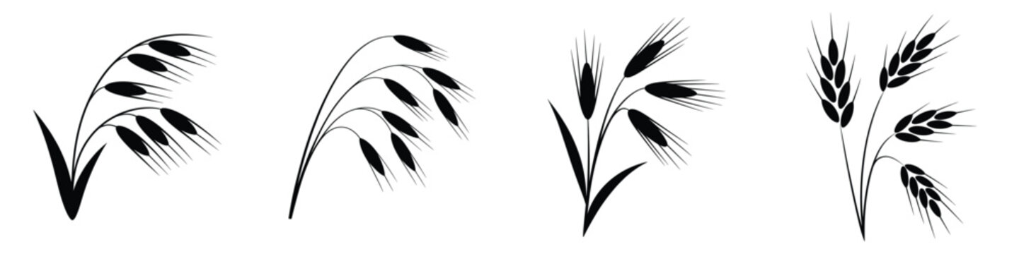 Abstract Cereal Grain Silhouettes: Minimalist Wheat, Barley, and Oat Stalk Vector Icons for Agriculture and Farming Design