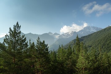 Obraz premium Mountain green hill valley landscape.