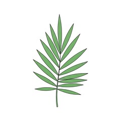 Obraz premium A stylized illustration of a single green palm frond, representing nature and tropical themes