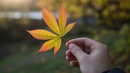 Hand holding vibrant yellow and orange autumn leaf