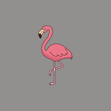 Flamingo Summer Tropical Sticker Animation Alpha Loop