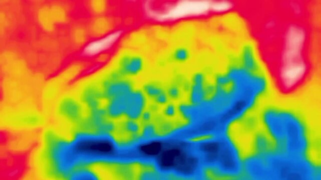 A man comes to a stone heated in the sun. Image from thermal imager device.