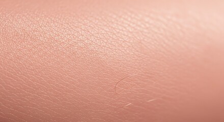 Fototapeta premium Skin texture closeup with hair