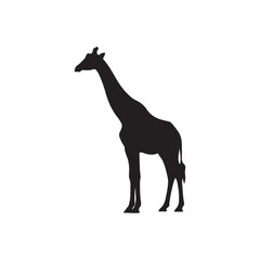 Fototapeta premium Giraffe icon sign vector illustration design silhouette on white background