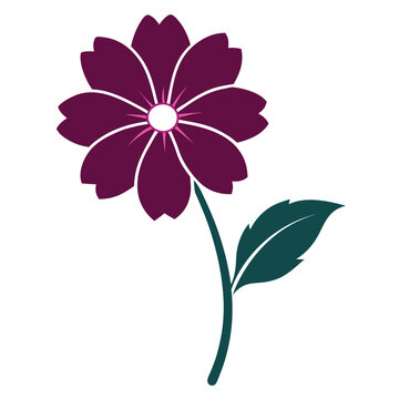 aster mexican silhouette flower vector on white