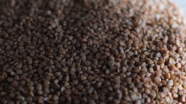 A pile of selected buckwheat groats on the table, close-up